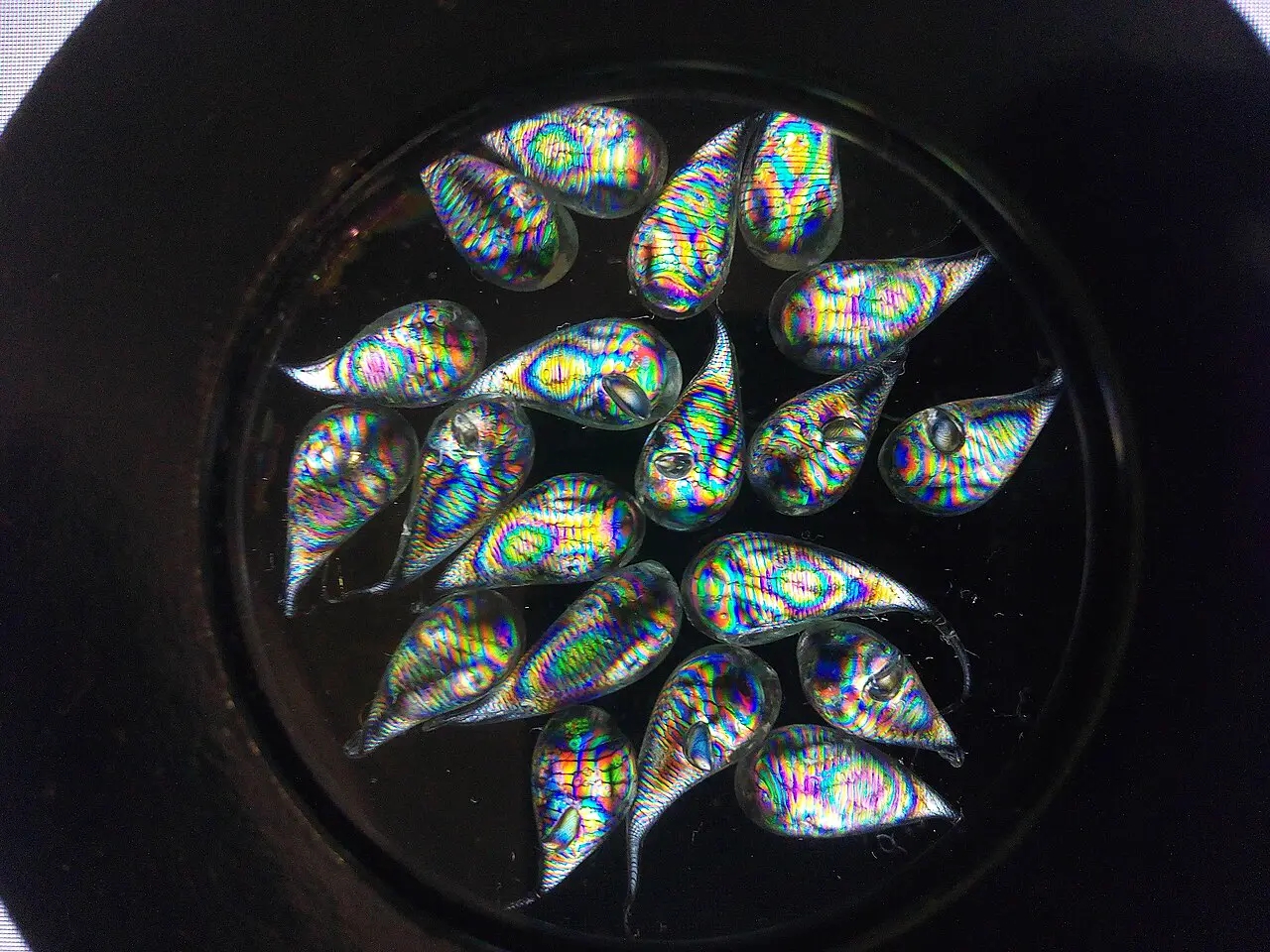 Prince Rupert's drops photographed in polarized light, revealing their internal stress patterns